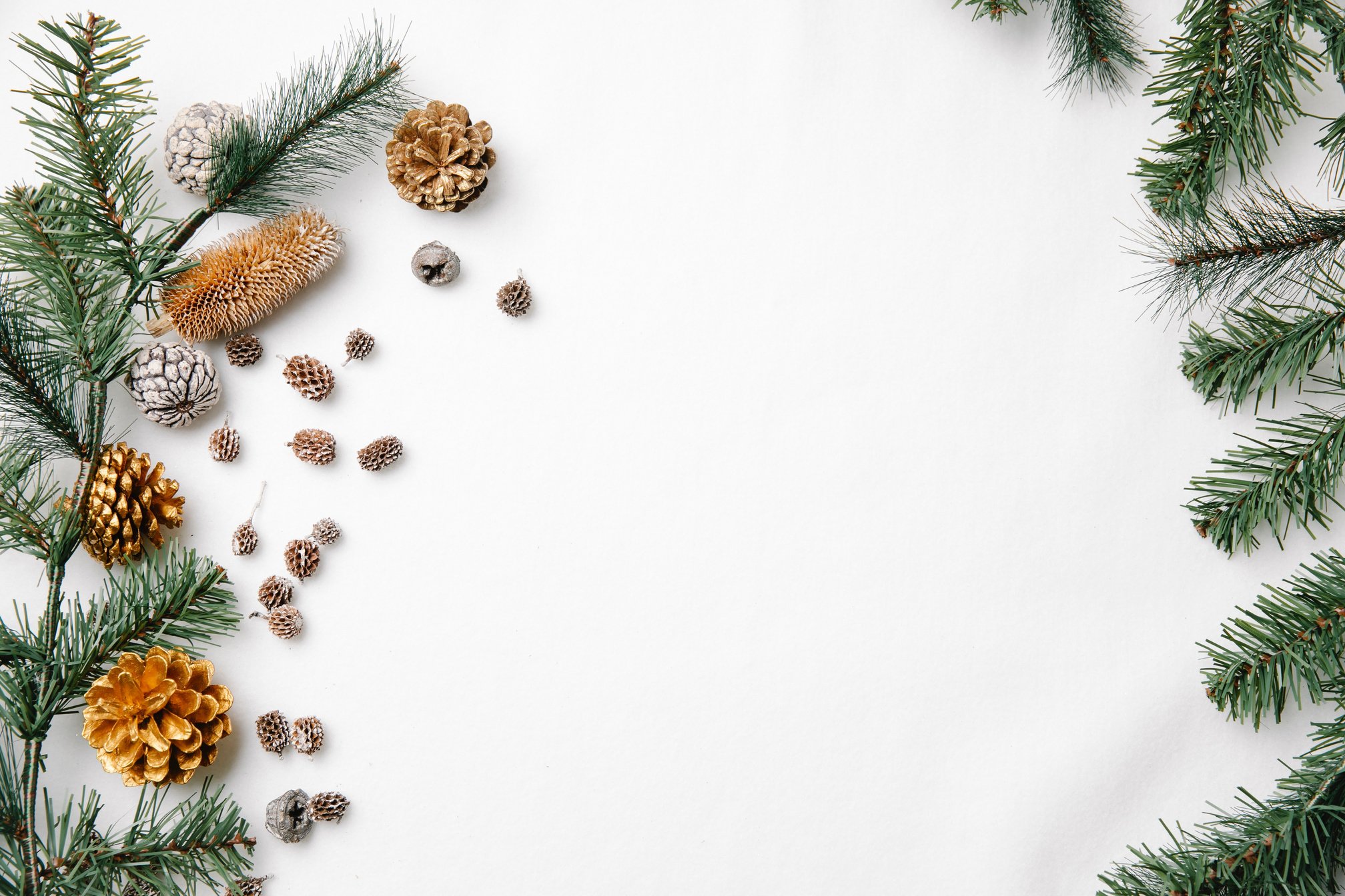 Pine Branches and Cones Frame Christmas Background